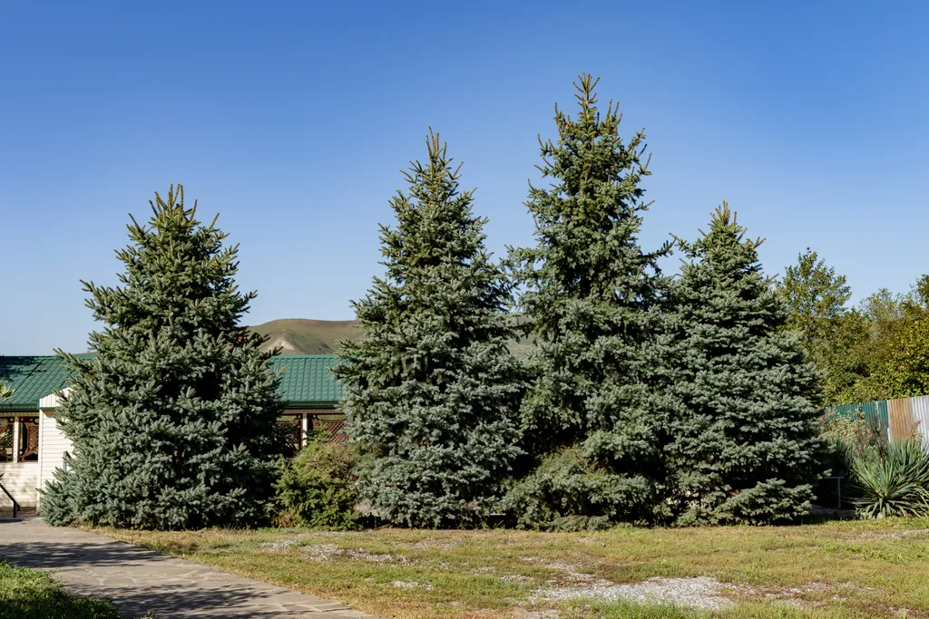 Гостевой комплекс у озера Бекан