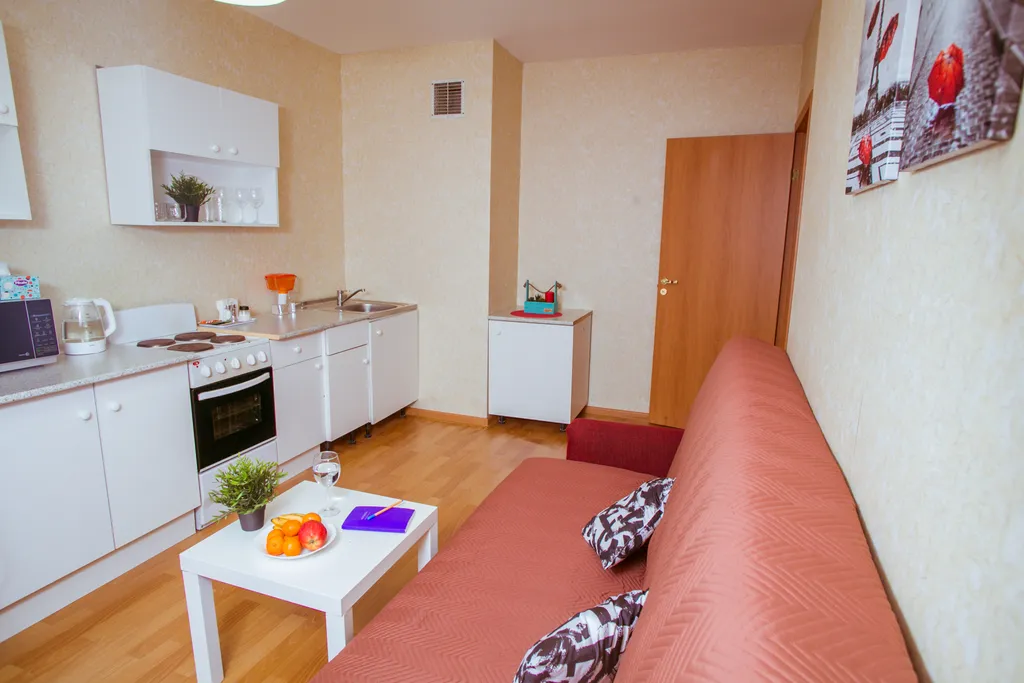 Уютная однокомнатная квартира на Парнасе