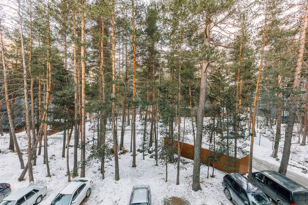 Квартира в сердце Терскола