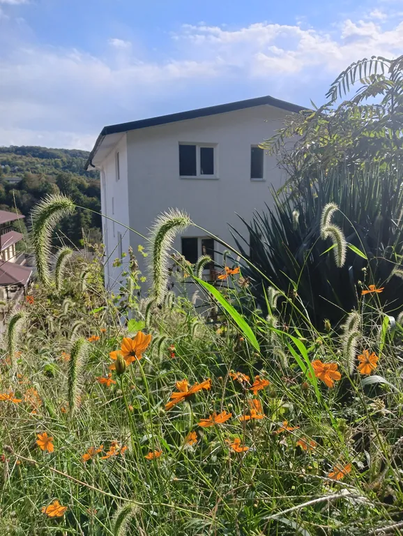 Хоумстей "В тишине"