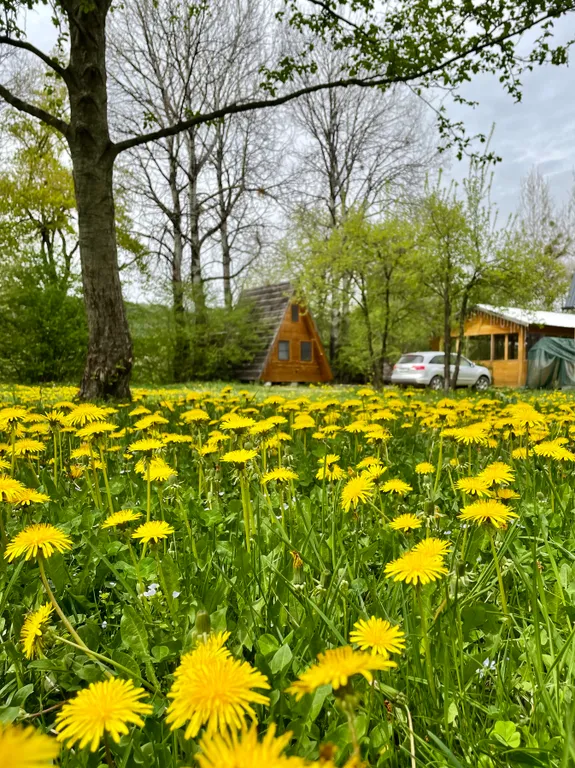 Гостевой дом Теремки у реки