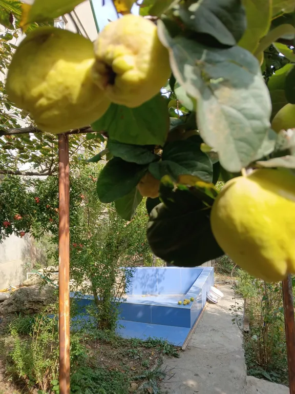 Гостевой дом в Райском саду близ смотровой с видом на бухту, близ моря