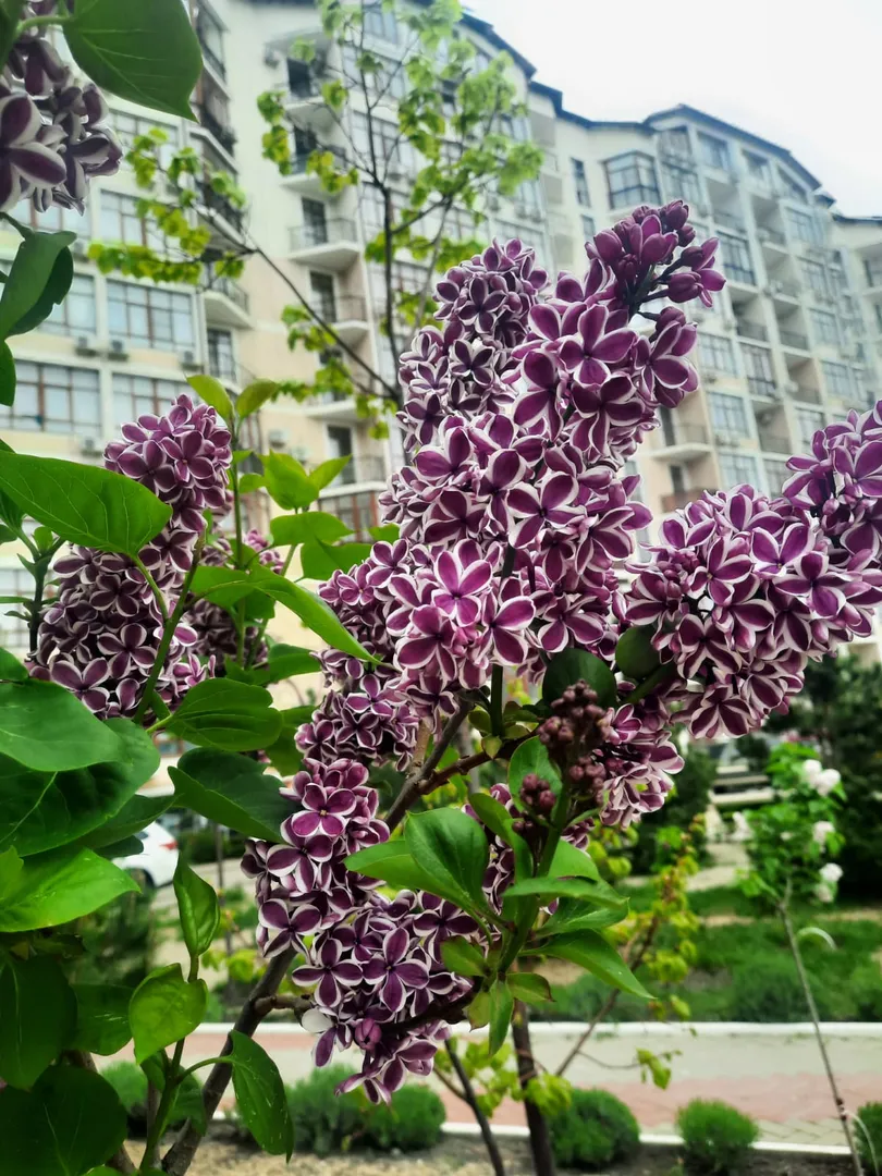 Фото