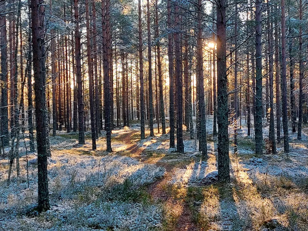 Коттедж Гостевой дом Karhu Casa рядом с Онежским озером — Деревянное
