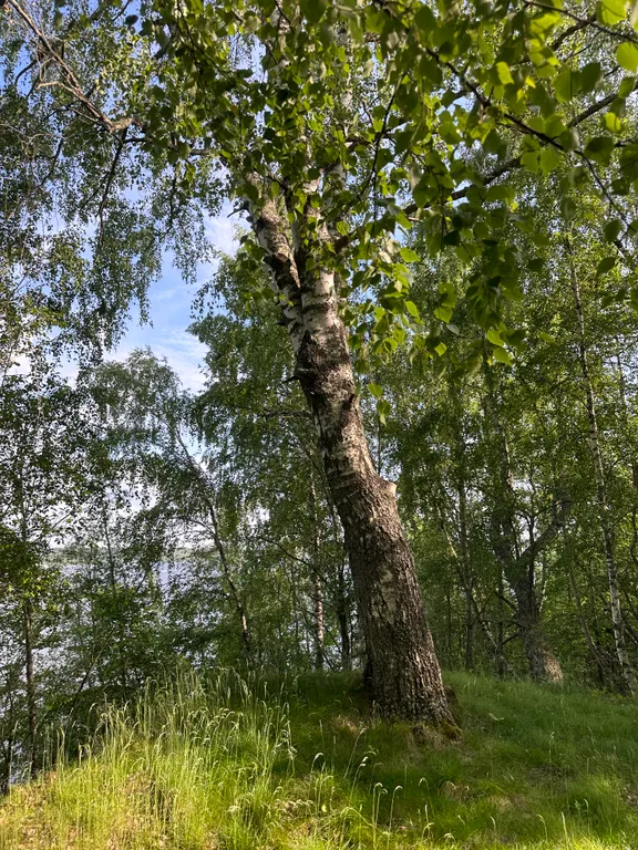 Уютный домик на берегу Волги