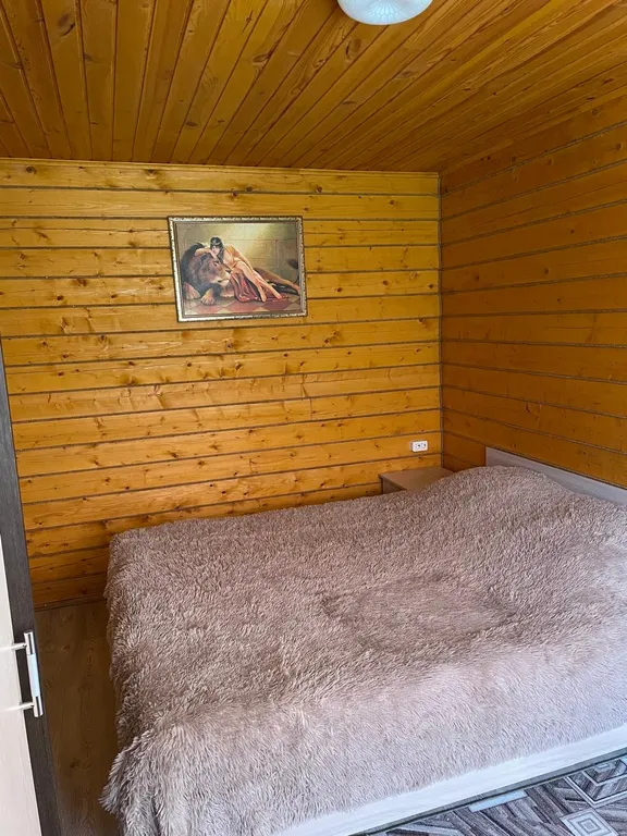 Шикарный коттедж для большой компании