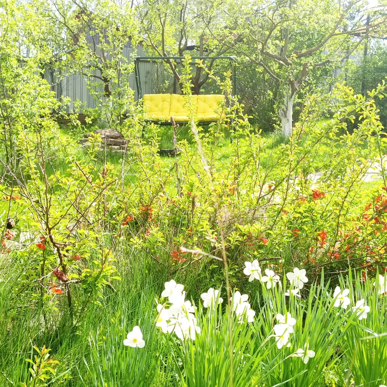 Дом с участком/House with a plot