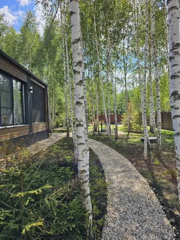 Дизайнерский панорамный дом с сауной в хвойном лесу