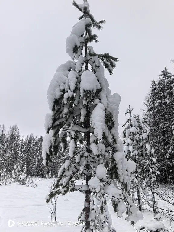 Квартира с видом на Онежское озеро