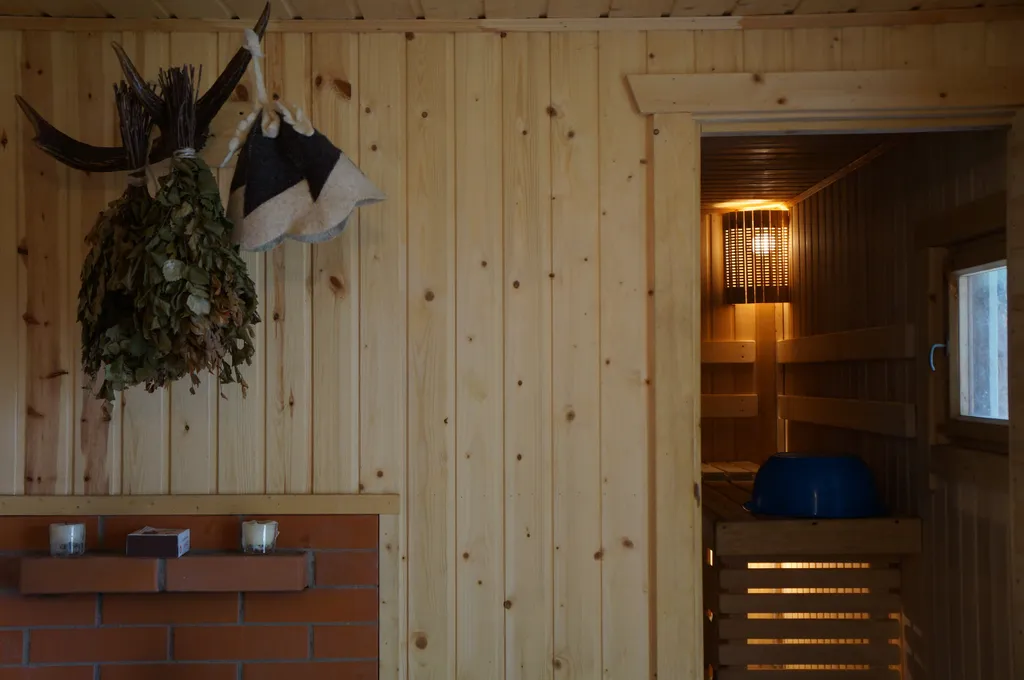 Большой гостевой дом Suuri