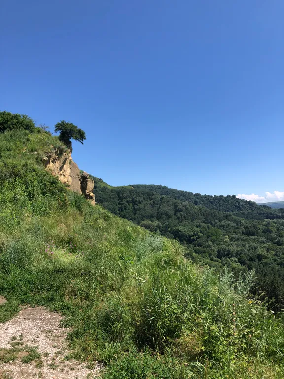 Квартира в парковой зоне