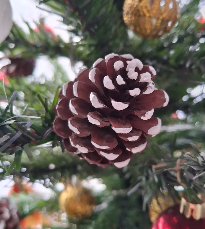 Модульный домик Тишина и море