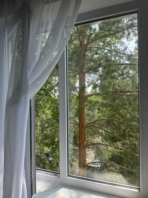 Квартира с видом на ели