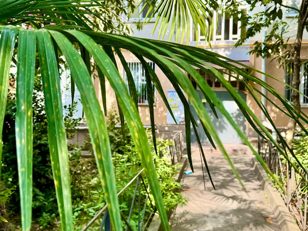 Двухкомнатная квартира первый дом от моря