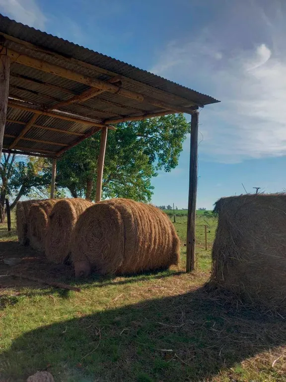 Домик в лесу с пятнистыми оленями и кроликами