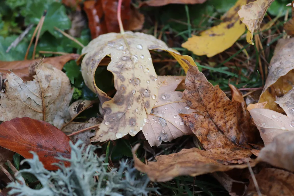 Коттедж Коттедж А-фрейм в заповедном лесу — Архыз