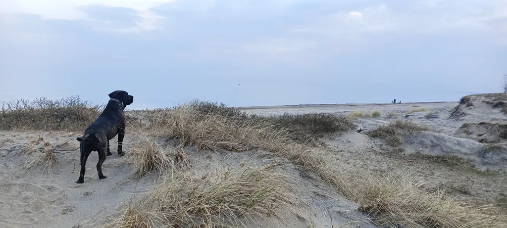 Морской домик на Балтийском побережье