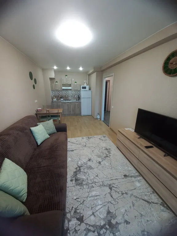 Современная уютная однушка