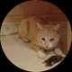 Евгения