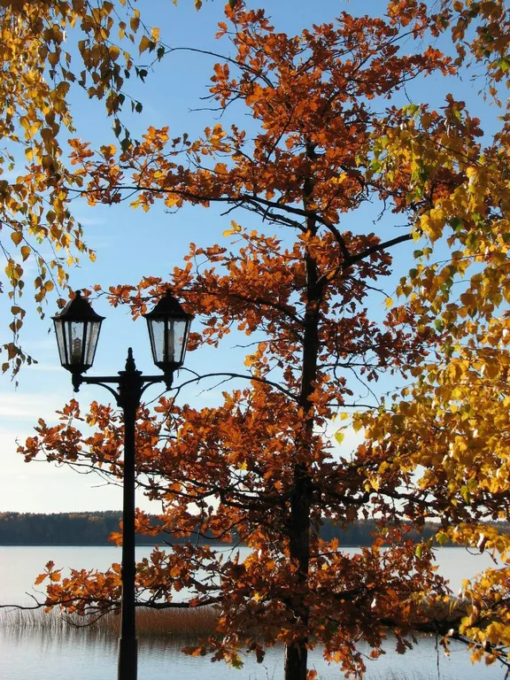 Уютная квартира на Браславских озёрах