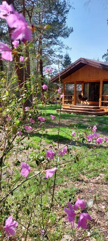 Комфортные шале на берегу реки