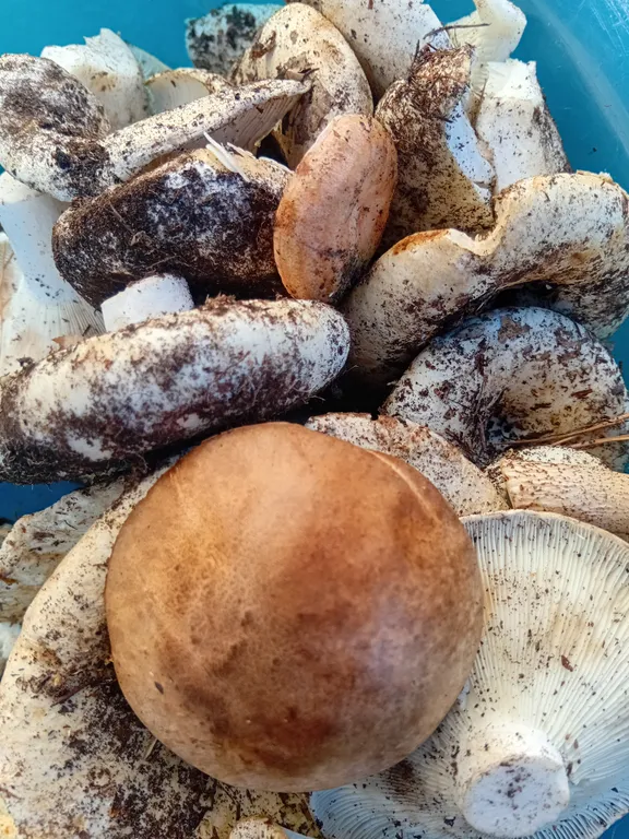 Уютный дом на берегу озера Камбулат