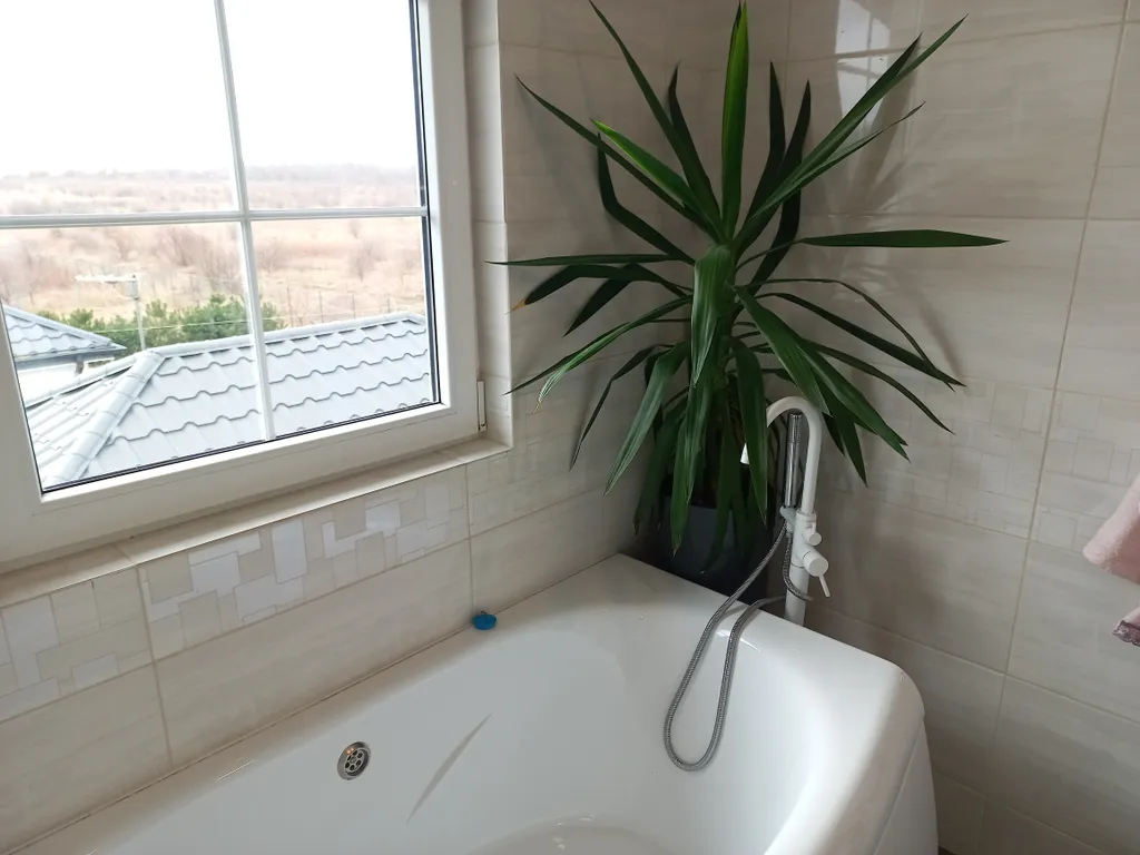 Дом с видом на море и отдельно стоящей баней.