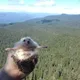 Татьяна