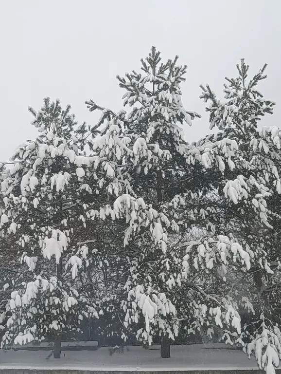 Уютный флигель