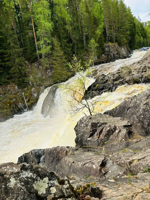 Коттедж Дом у заповедника — Сопоха