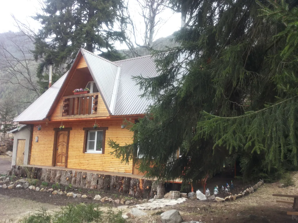 Целый этаж под ключ с видом на горы и лес Лодж