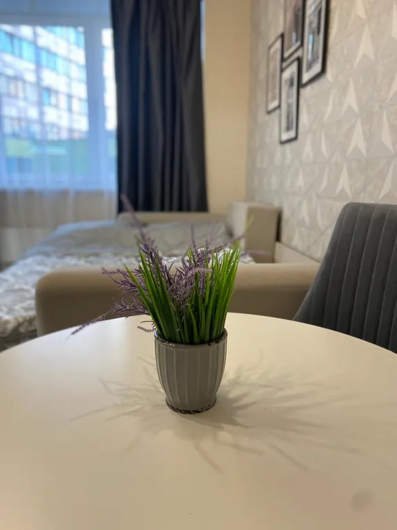 Уютная студия в центре города