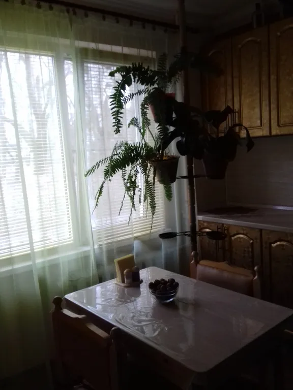 Квартира напротив санатория Дубрава