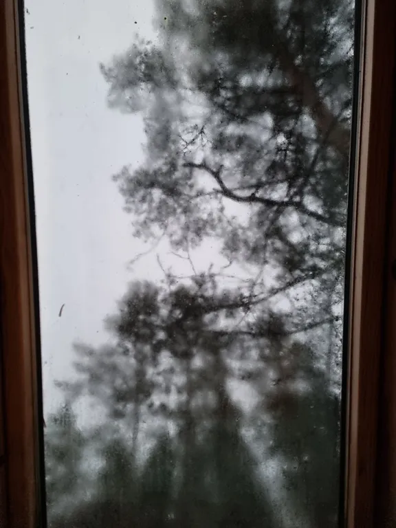 Уютная квартирка в дачном масиве рядом с клиникой Белоостров