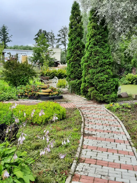 Дом в центре