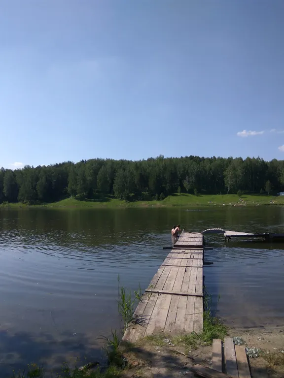 Гостевой дом с баней Лесная поляна