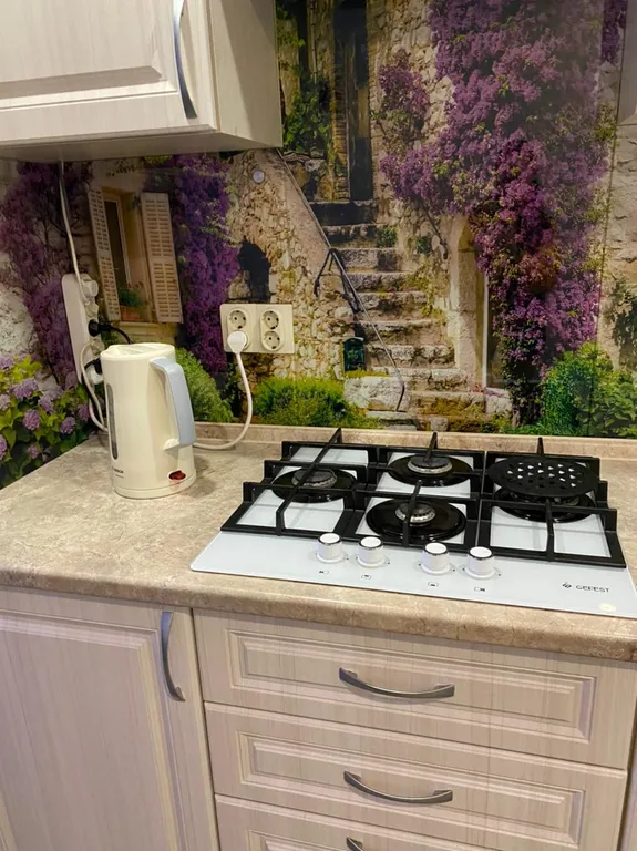 Большая уютная однокомнатная квартира в центре города