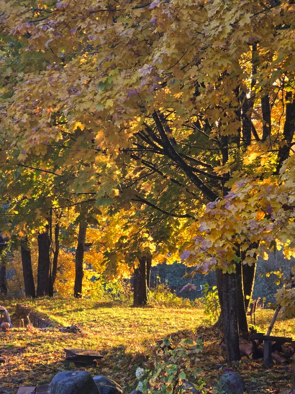 Загородная усадьба