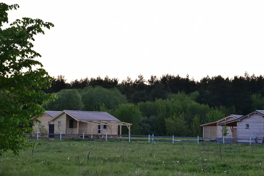 Коттедж Дом-шале Подсолнухи — Луховицы