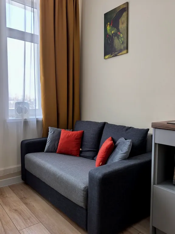 Студия лофт на Шмырева