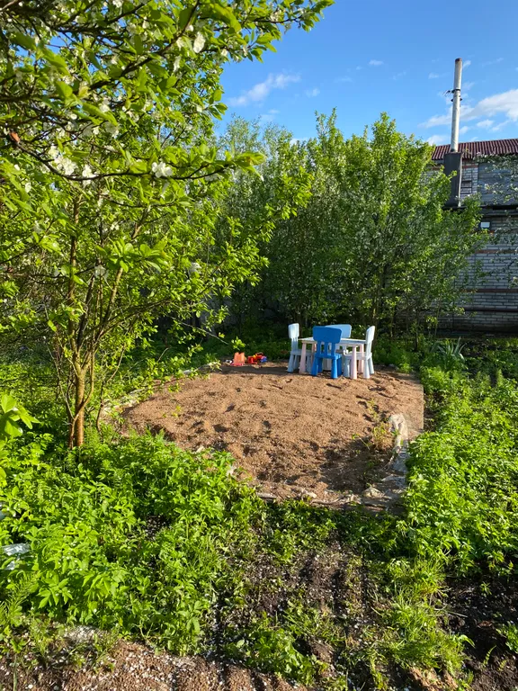 Дом с елкой и снеговиком, за домом манеж с лошадьми