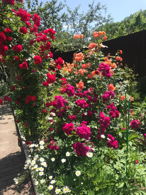 Коттедж Домик с цветущим садом — Кисловодск