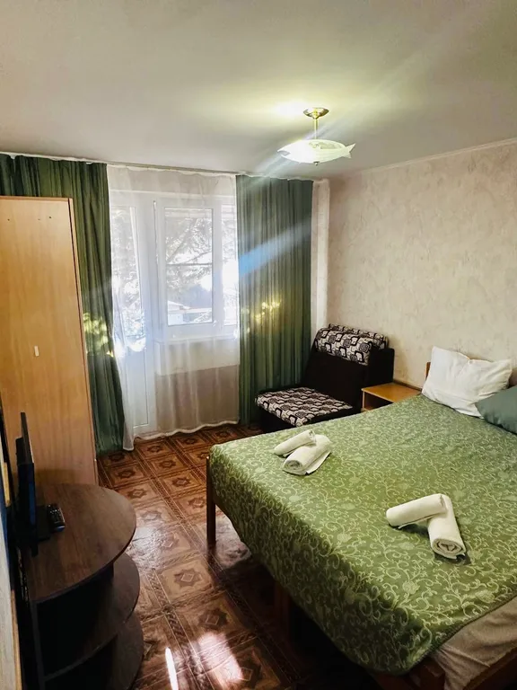 Квартира 1-комнатная Квартира — Сириус