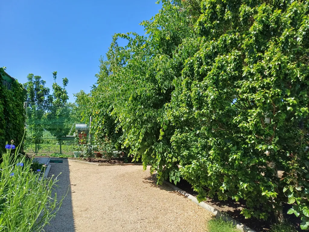 Домик со своей кухней и беседкой