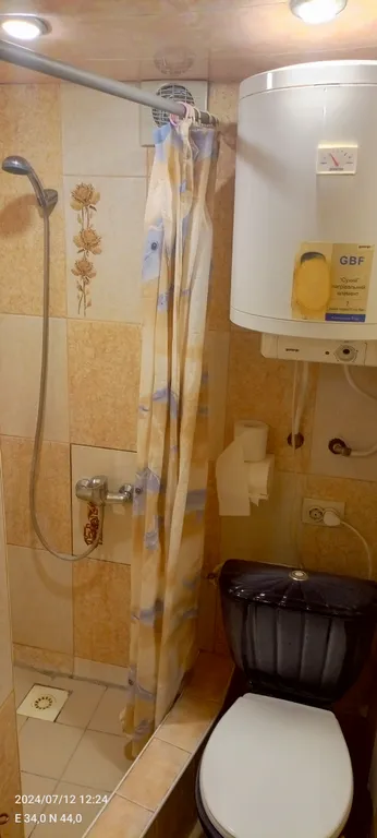 Аисты с видом на море