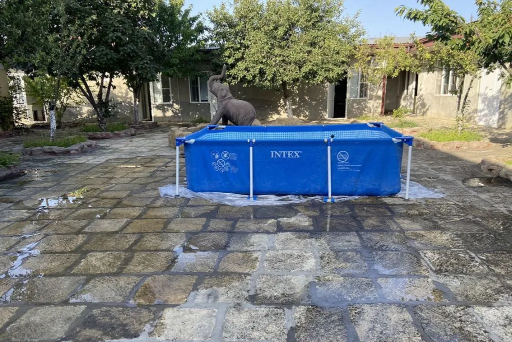 Уютный дом недалеко от моря, дача Хаба