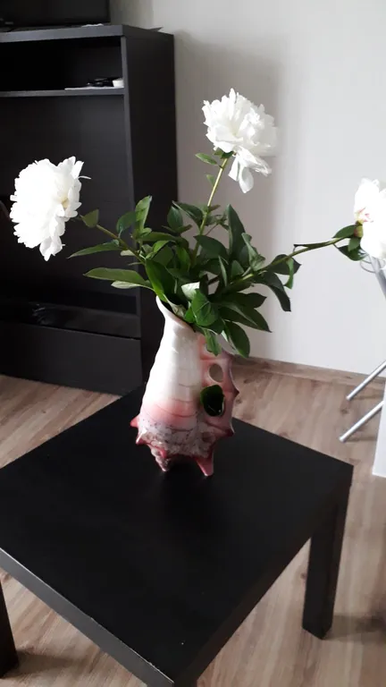 Квартира Квартира Жемчужина Анапы — Анапа