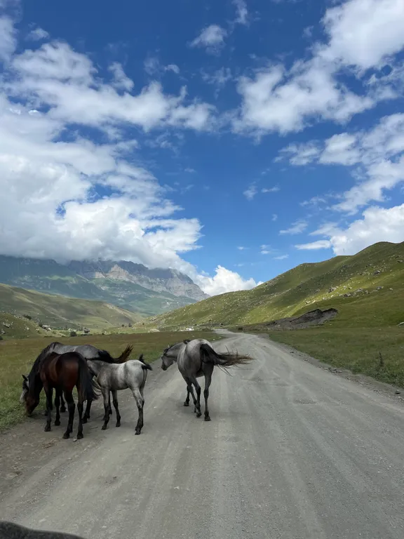 Домик в Даргавсе