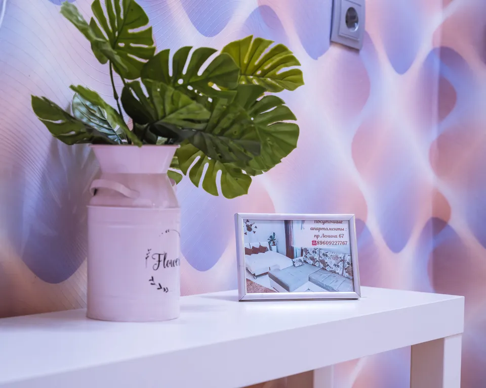 Прекрасная однокомнатная квартира на проспекте Ленина .