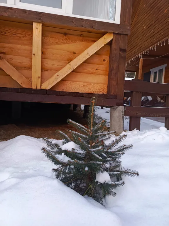 2-комнатный Дом